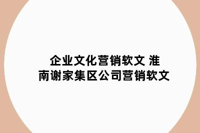 企业文化营销软文 淮南谢家集区公司营销软文